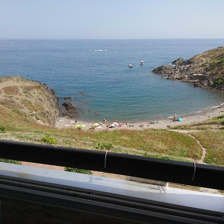 Portvendres Sea View Apartment Port Vendres Exterior photo